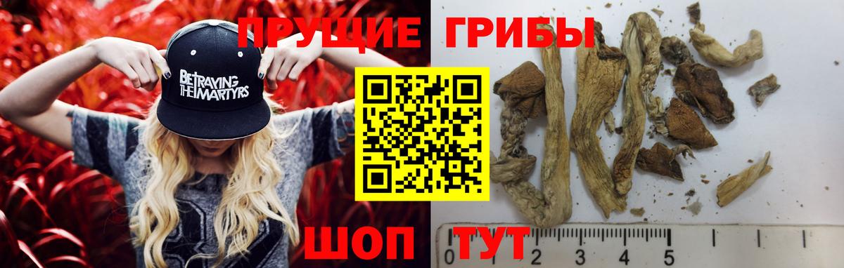 Унеча  Псилоцибиновые грибы ЛСД  Галлюциногенные грибы прущие грибы  Вход с VPN 